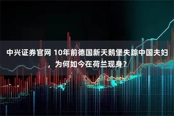 中兴证券官网 10年前德国新天鹅堡失踪中国夫妇，为何如今在荷兰现身？