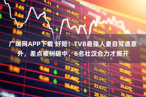 广瑞网APP下载 好险！TVB最强人妻自驾遇意外，差点被树砸中，6名壮汉合力才挪开