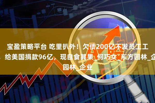宝盈策略平台 吃里扒外！欠债200亿不发员工工资，给美国捐款96亿，现自食其果_何巧女_东方园林_企业