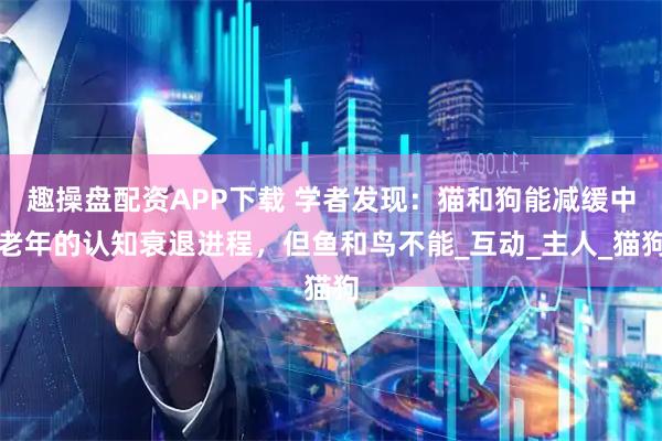 趣操盘配资APP下载 学者发现：猫和狗能减缓中老年的认知衰退进程，但鱼和鸟不能_互动_主人_猫狗